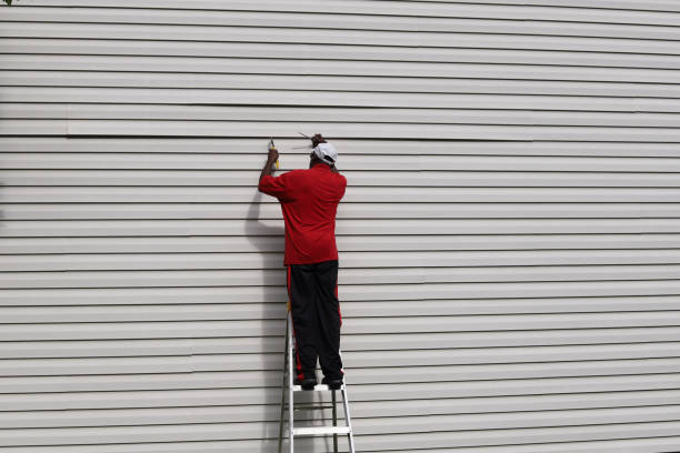 Best Custom Trim and Detailing for Siding  in Worthington, KY